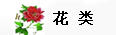 花類(lèi)