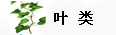 葉類(lèi)