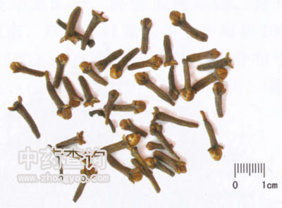 ����ˎ��