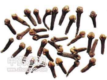 ����ˎ��