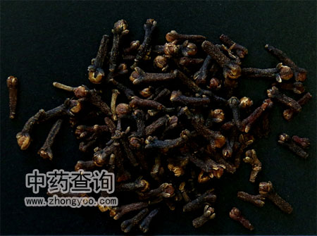 ����ˎ�ĸ���