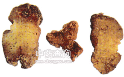 姜形黃精藥材切片