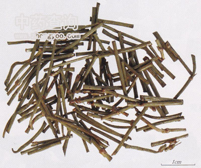 蜜麻黃飲片(草麻黃)