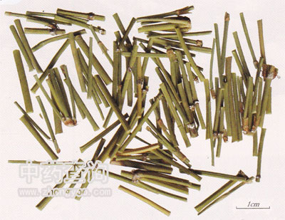 麻黃飲片(中麻黃)