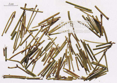 麻黃飲片(木賊麻黃)