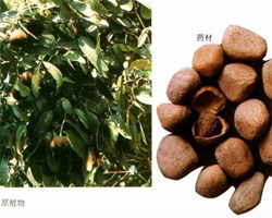 ���L�ӵĹ�Ч�c����