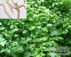 �׹��ٵĹ�Ч�c����