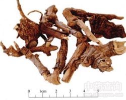 �ϰ��{(l��n)��