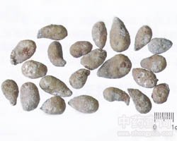 ˮ�����Թ�Ч�c����