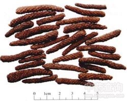 ɜܸ�Ĺ�Ч�c����