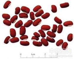 ��С���Ĺ�Ч�c����