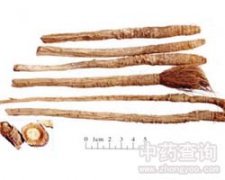 ���L(f��ng)