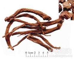 �m(x��)��Ĺ�Ч�c����