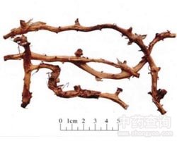 ��ɽ���Ĺ�Ч�c����