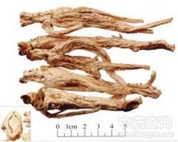 �۹��Ĺ�Ч�c����