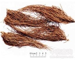 ��ޱ�Ĺ�Ч�c����