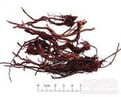 ��ݵĹ�Ч�c����