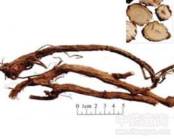 ��ꪵĹ�Ч�c����