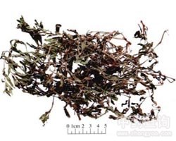 ����Ĺ�Ч�c����