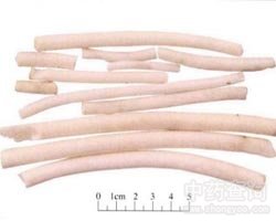 Сͨ�ݵĹ�Ч�c����