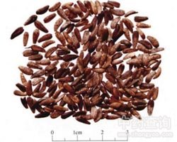 ţ���ӵĹ�Ч�c����