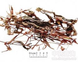 ���ŲݵĹ�Ч�c����