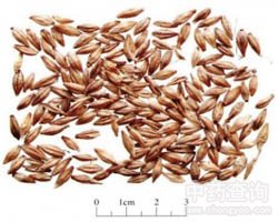 ��ѿ�Ĺ�Ч�c����