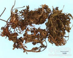 ��ݮ�Ĺ�Ч�c����