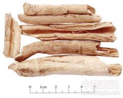 ���rƤ�Ĺ�Ч�c����