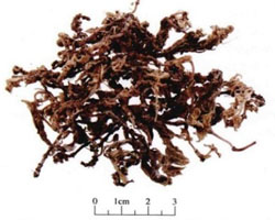 ��ˎ����݈DƬ