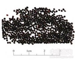 �����ӵĹ�Ч�c����