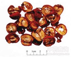 ɽ髵Ĺ�Ч�c����