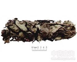 ���m�Ĺ�Ч�c����