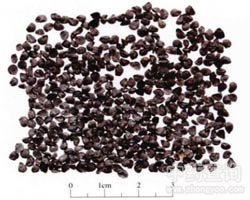 �²��ӵĹ�Ч�c����