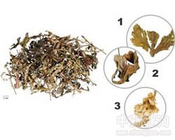 ����ū�Ĺ�Ч�c����