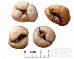 ��ؐĸ�Ĺ�Ч�c����