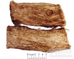 ����Ĺ�Ч�c����