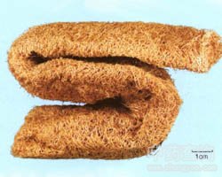 �z�Ͻj(lu��)�Ĺ�Ч�c����