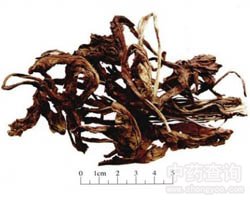 �����~�Ĺ�Ч�c����