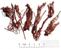 ��ǰ�Ĺ�Ч�c����