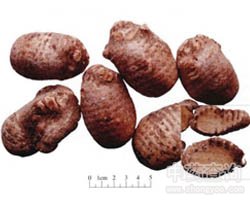 �ɞa�Ĺ�Ч�c����