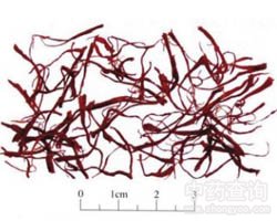 ���t���Ĺ�Ч�c����