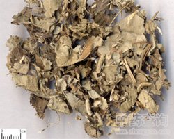 �����L�DƬ