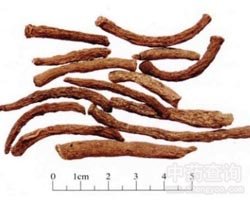 ��é�Ĺ�Ч�c����