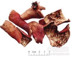 ʯ��Ƥ�Ĺ�Ч�c����