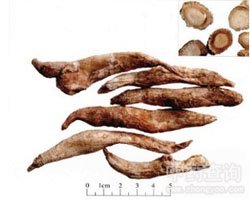 ���h���Ĺ�Ч�c����