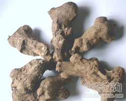 �������DƬ