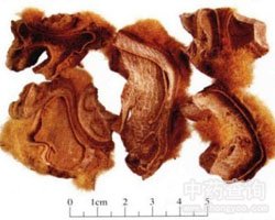 �����Ĺ�Ч�c����