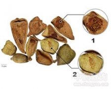 �V�|��������