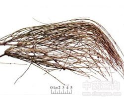 ���S�Ĺ�Ч�c����